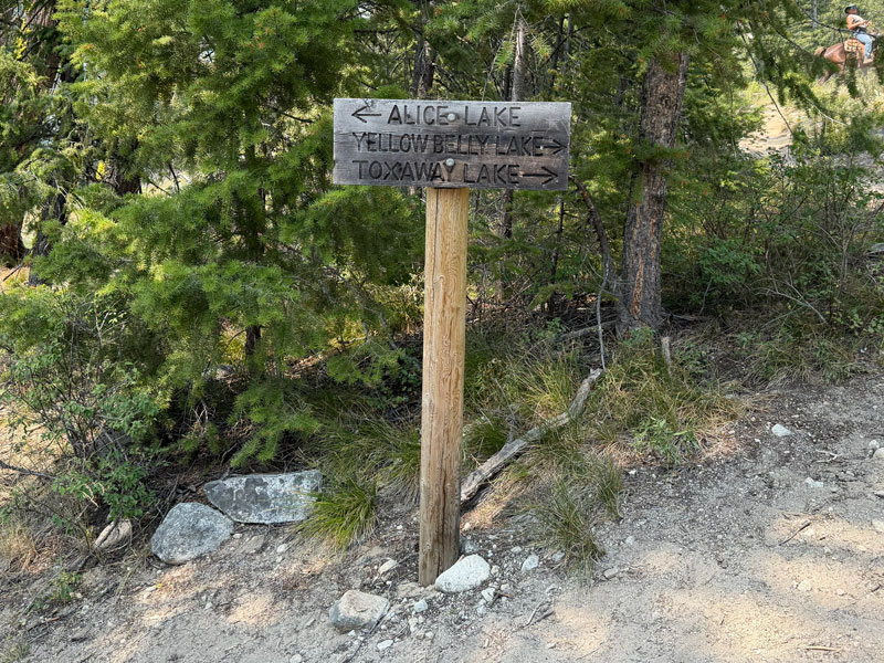 Sign marking the start of the Alice Toxaway Loop