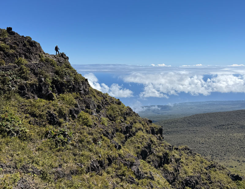 View from the Halemau'u Trail