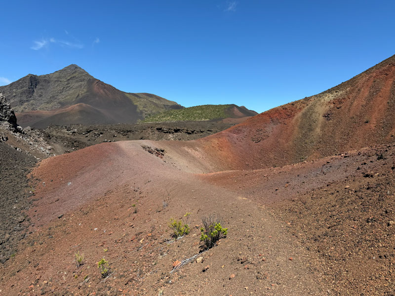 Colorful ash along the Halemau'u Trail